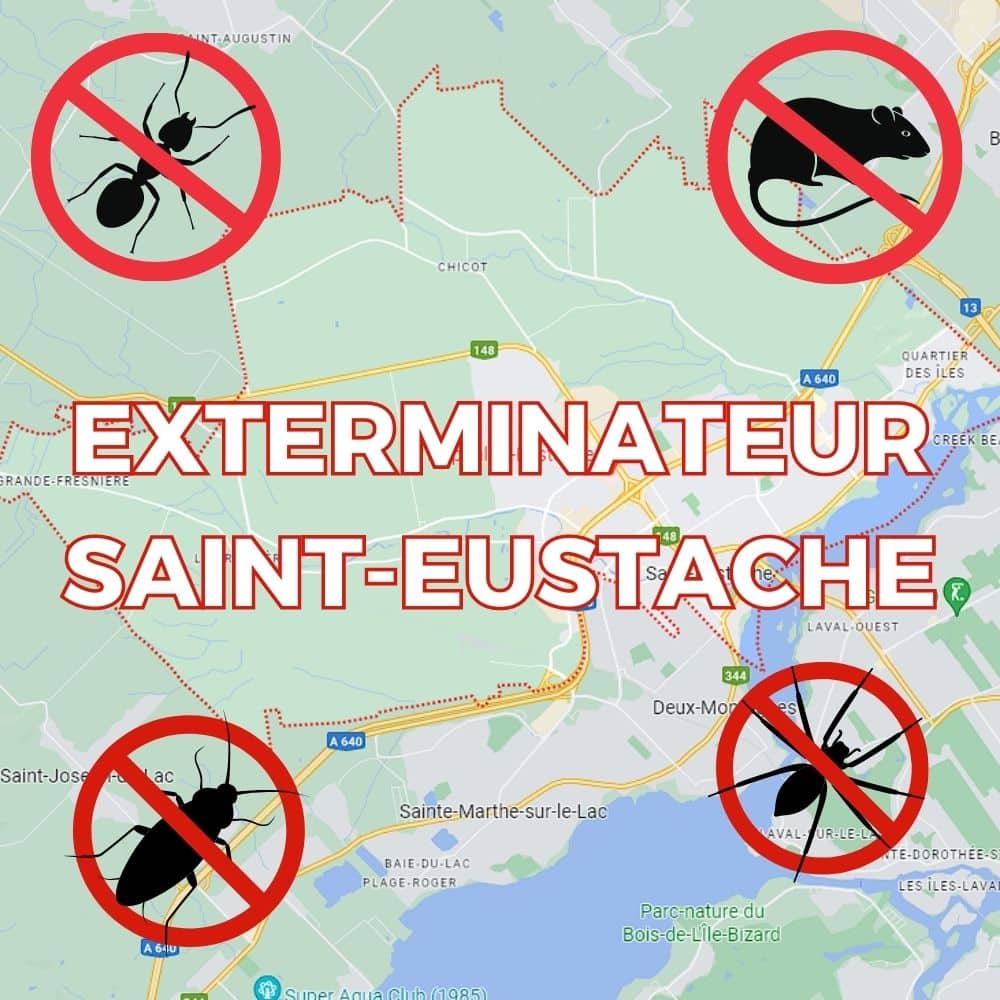 Exterminateur saint-eustache