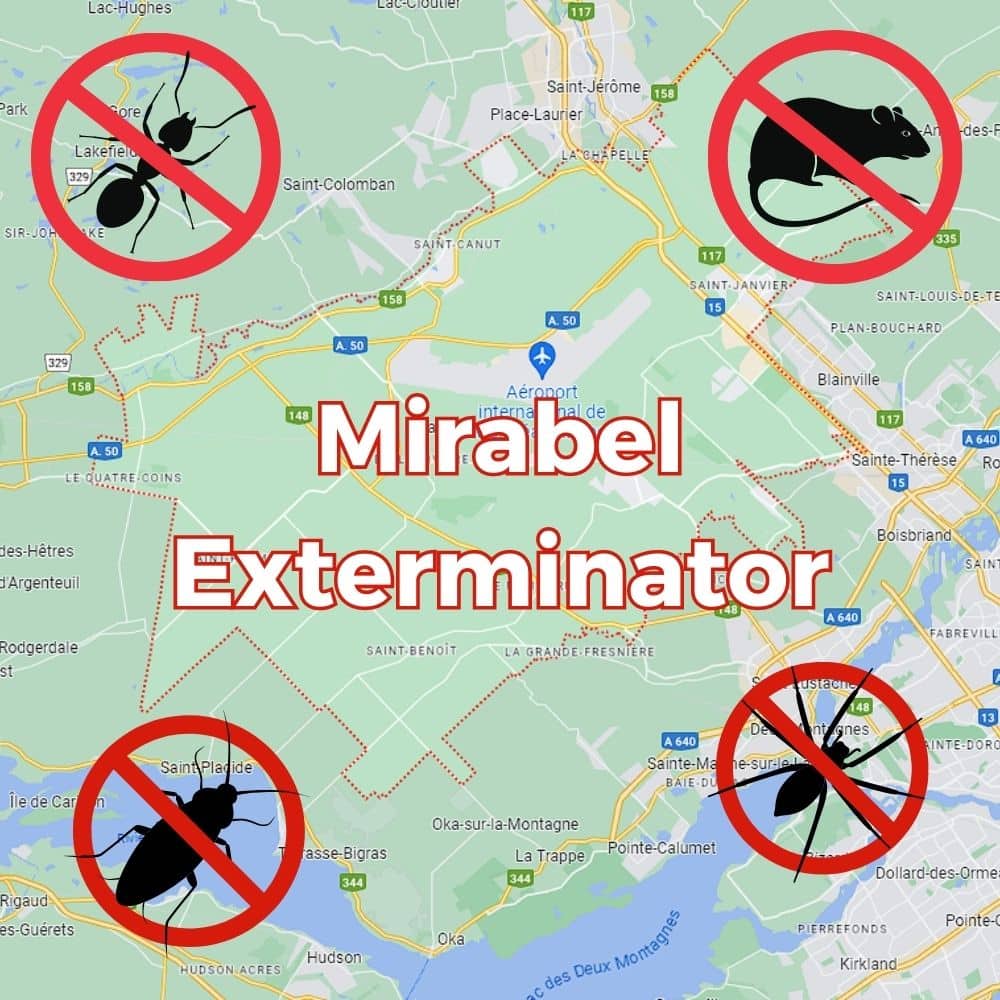 Mirabel exterminator