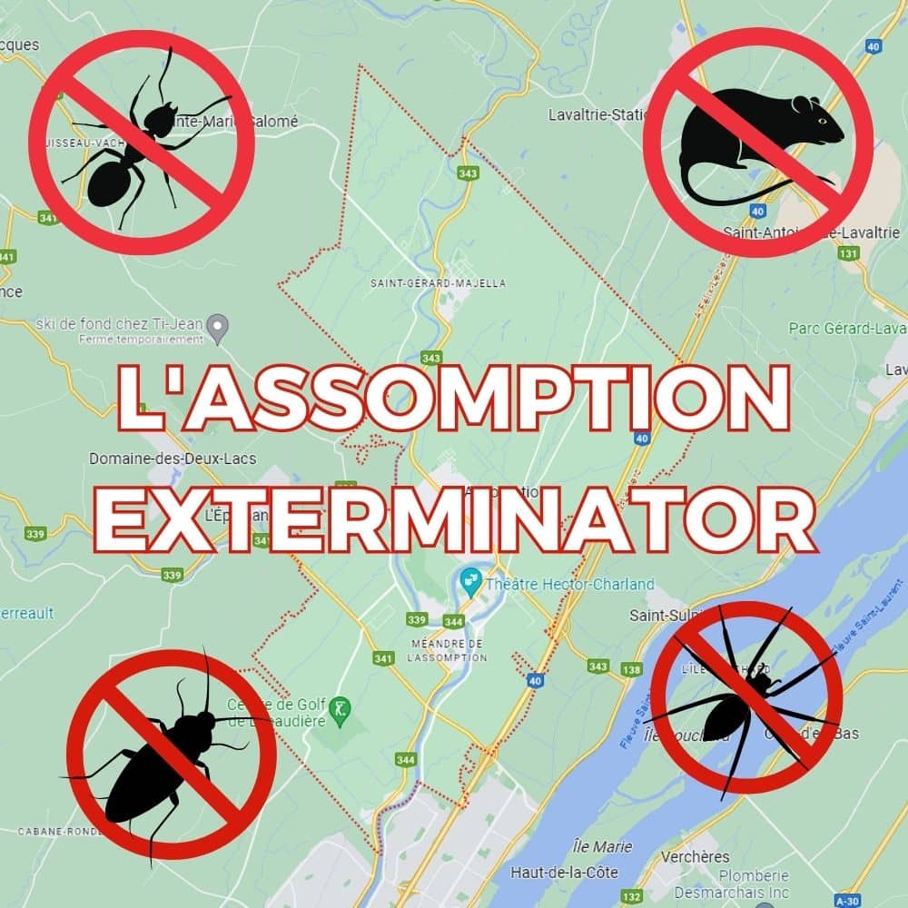 l'Assomption exterminator