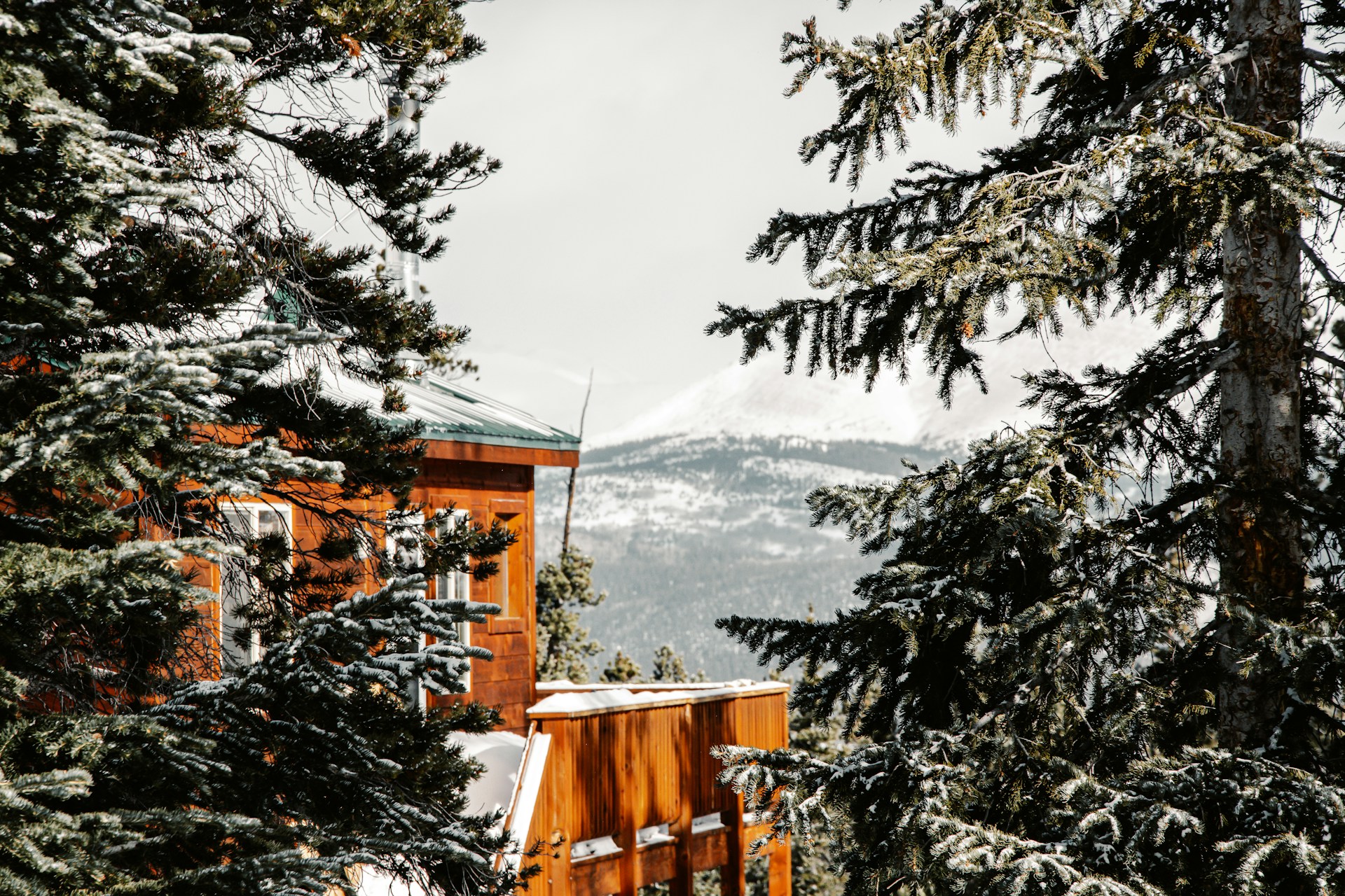 Comment préparer votre chalet pour éviter les infestations de parasites cet hiver