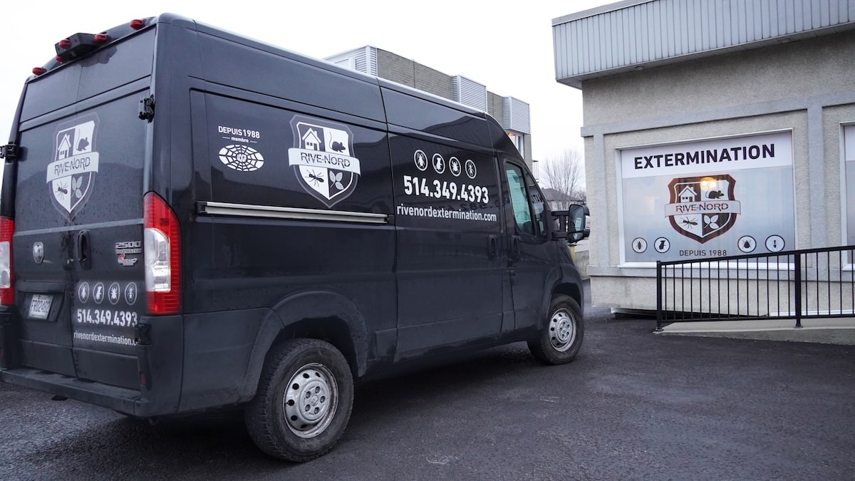 Exterminateur de rongeurs à blainville