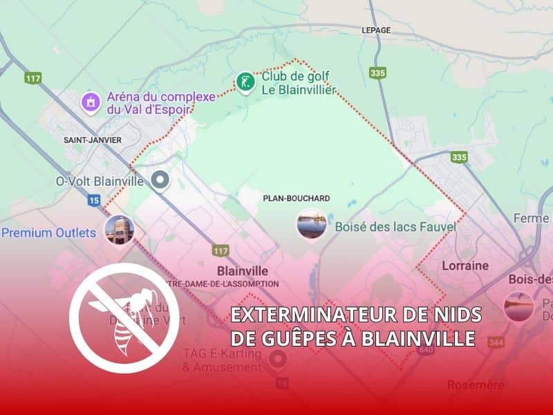 Exterminateur de Nids de Guêpes à Blainville Exterminateur de Nids de Guêpes à Blainville