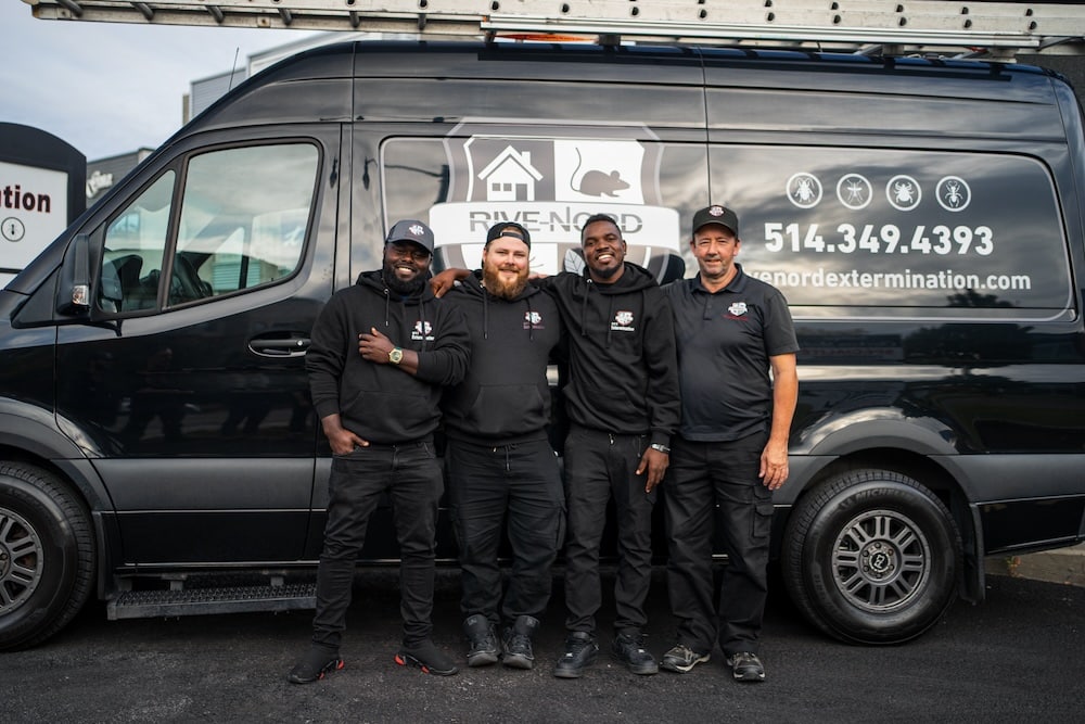 Exterminateur à Saint-Sulpice