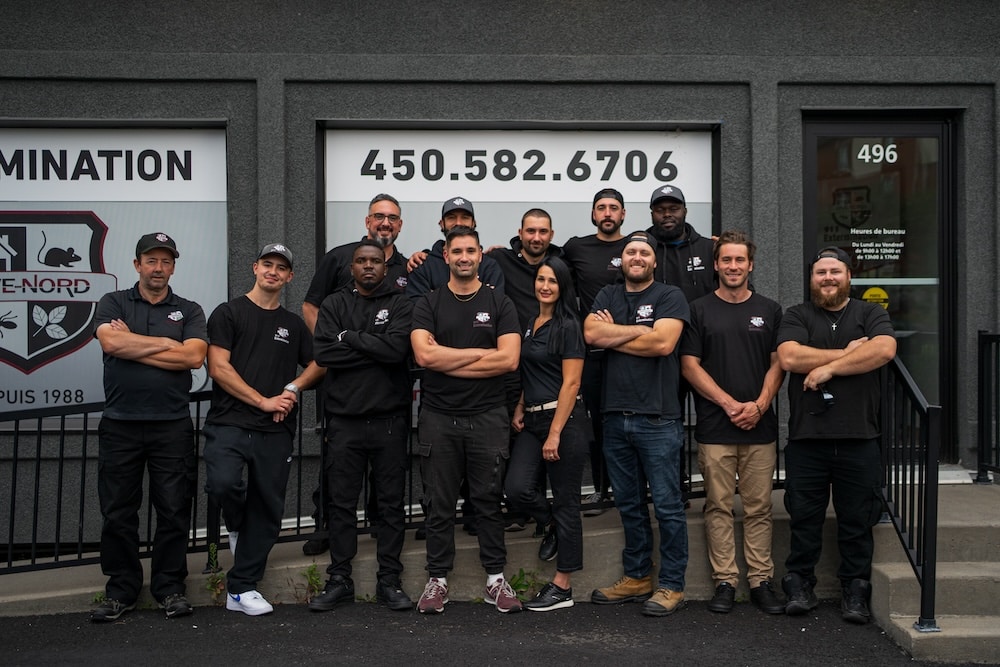 Exterminateur à Saint-Lin