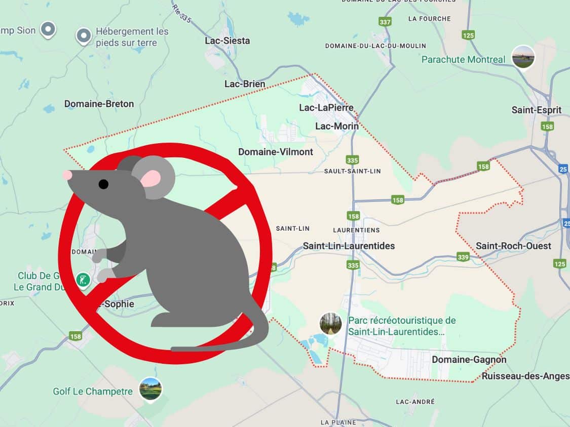 Exterminateur de fourmis à L’Épiphanie