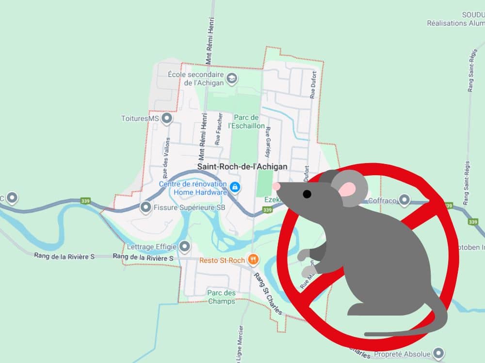 Exterminateur de souris à saint-roch