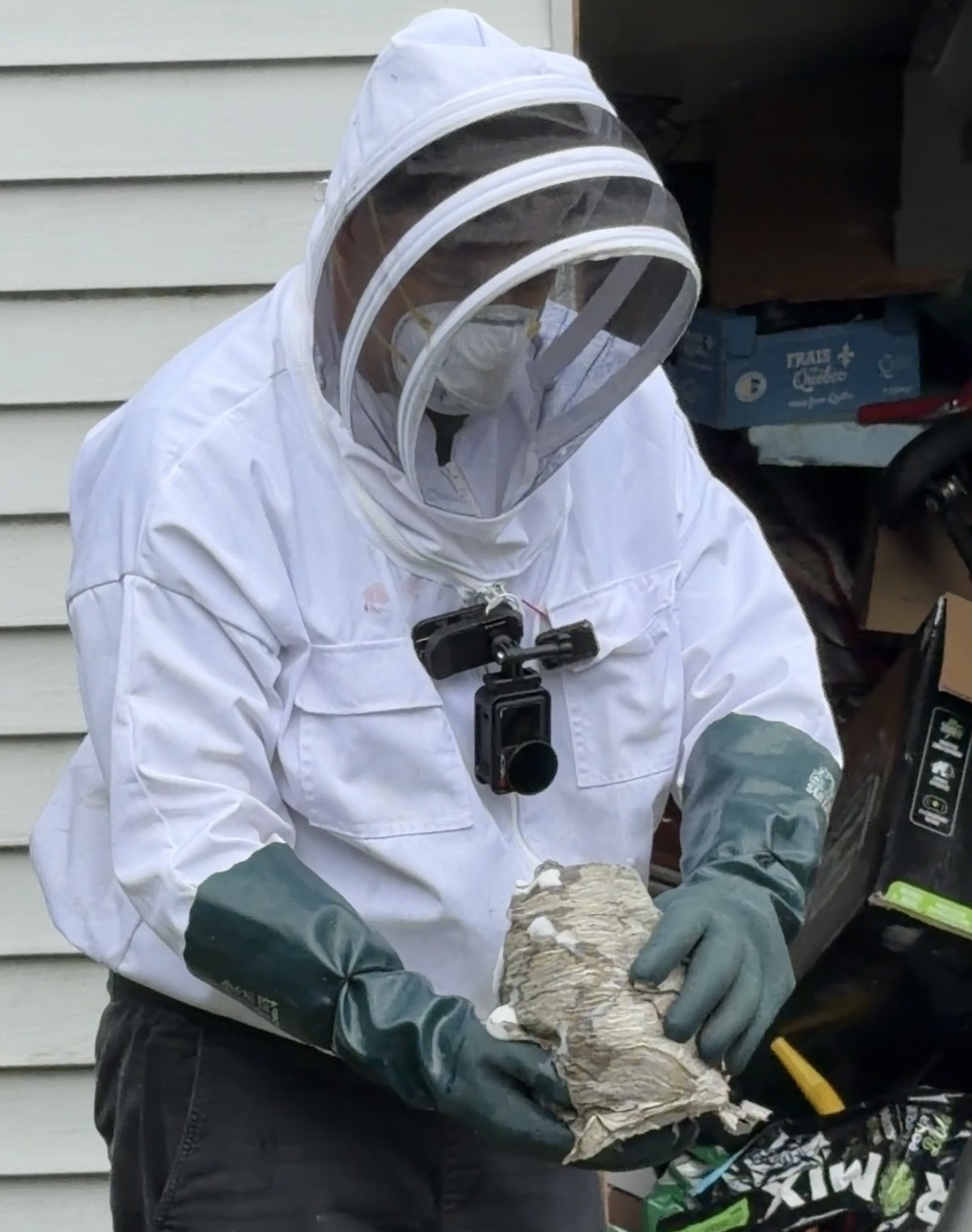 Exterminateur de nid de guepes a Saint Lin–Laurentides 2